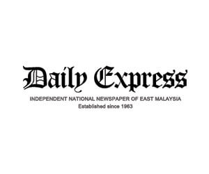 Daily Express Logo Website